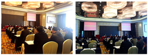 会长刘俊代表协会在全市商务工作会议上作“坚持品牌服务，助力创新发展”主题发言