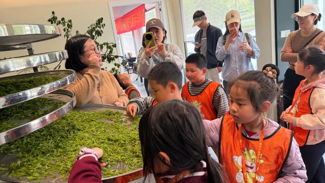 【与老字号同行 探“十五五”新程】第二期——牛通社小记者团走进杭州狮峰茶叶有限公司